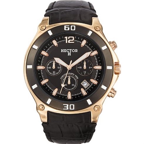 666005 HECTOR RUCNI SAT
