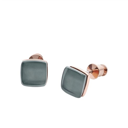 SKJ0875791 Skagen Sea Glass  minđuše     