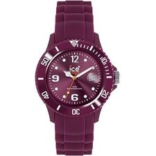 SW.DO.B.S.10- Sili winter ICE WATCH RUCNI SAT