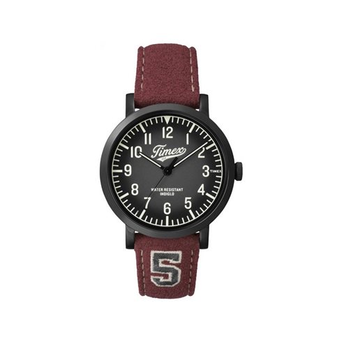TW2P83200CM  TIMEX THE WATERBURY RUČNI SAT    