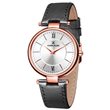 DK11217-6 DANIEL KLEIN RUCNI SAT