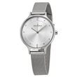 SKW2149 Skagen Anita Steel Mesh              