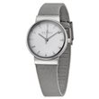 SKW2195  Skagen Ancher Steel Mesh         