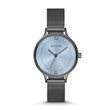 SKW2308 Skagen Anita Steel Mesh          