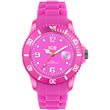 SS.NPE.U.S.12 IW08 ICE WATCH RUCNI SAT